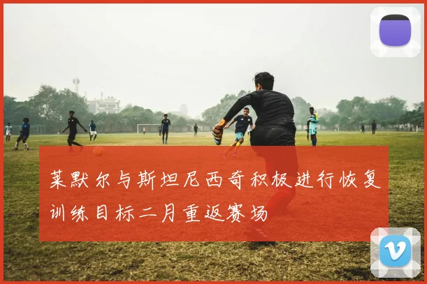 莱默尔与斯坦尼西奇积极进行恢复训练目标二月重返赛场