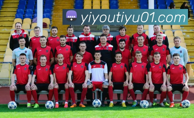 易游体育APP 封面图